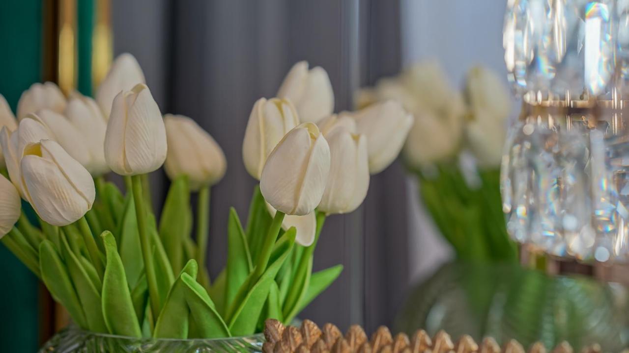 Kua Luxury Loft Coresi דירה בראשוב