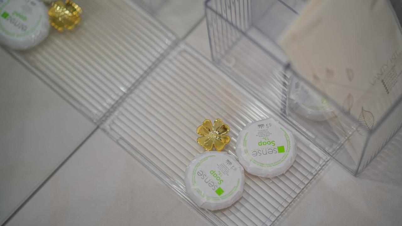 Kua Luxury Loft Coresi 公寓 *